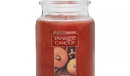 所有最可爱的秋天主题的家都在20美元以下