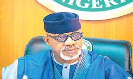 阿比奥敦要求非洲青年领导经济转型