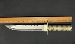 独家｜纽约警察逮捕持刀移民少年，国家禁止戴口罩