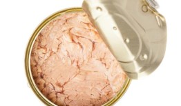 被汞污染的金枪鱼罐头：非政府组织