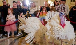 拜登将以白宫感恩节传统庆祝81岁生日