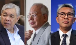 纳吉布试图在国内服刑，两名部长对所谓的王室秩序提出异议