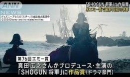 日本老年人口创历史新高