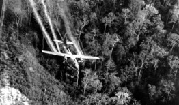 美国退伍军人事务部将放宽对接触过橙剂的退伍军人的福利规定