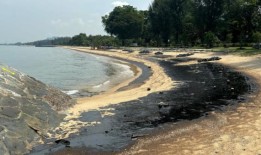 “几乎是彻底的损失”：石油泄漏破坏了海上体育企业在长周末赚钱的计划