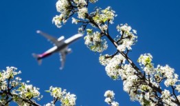 温暖的冬天过后，春天来得早，随之而来的是更多的热量