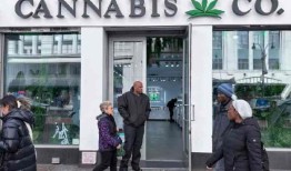 在美国大选之前，大麻成为罕见的共识问题