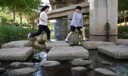 加拿大有两人死于受污染的牛奶替代品