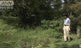 丰田因认证丑闻重启三款车型生产