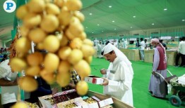 卡塔尔周末要做的事情(7月25-27日)