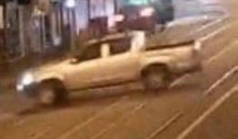 谁在不伦瑞克的公羊袭击中放了狗？