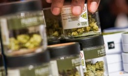 据美联社报道，美国禁毒执法人员将放宽对大麻的限制