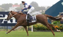 赛马：埃勒斯利赛马场已经恢复正常，高级骑师表示需要更多的比赛