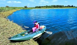 被放归野外的宠物可能是入侵物种，造成生物多样性的丧失