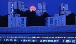 朝鲜表示，日本首相要求与金正恩举行峰会