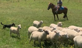 这幅著名的漫画描绘了一片田园般的天堂