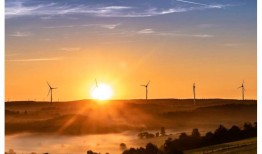 研究表明，可再生能源提高了食品价格