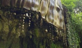 “我带孩子们去了英国最古老的旅游景点，他们很喜欢”