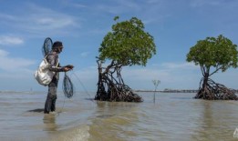 在马来西亚雪兰莪海岸的黄金地段，一个原住民部落为保住祖传的土地而战