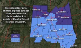 阿拉巴马州迎来了寒冷的夜晚：随着气温骤降，发布了霜冻预警
