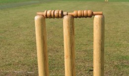 板球-西印度群岛队以4个三柱球击败英格兰队，以3-2的T20系列赛获胜