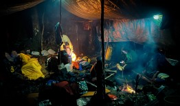 终于被发现：60年后，奇怪的产卵哺乳动物终于被重新发现