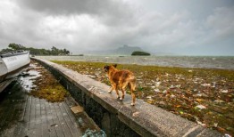 热带气旋逼近，洪水袭击毛里求斯，机场关闭