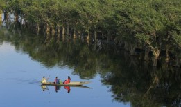 新的旅游限制是为了保护孟加拉国独特的湿地和珊瑚丰富的岛屿