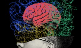 疫苗不会导致自闭症什么？