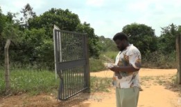 这是在创新和就业问题之间的平衡，因为非洲利用人工智能来推动增长