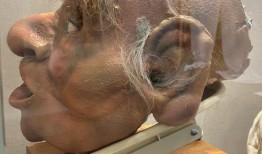 无人认领的行李博物馆：我们在那里发现的五件最酷的东西