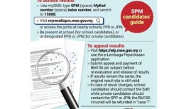获取SPM 2023结果的三种方法