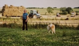 “一些绝对的宝石”：150万英镑呼吁拯救野生避风港草莓山