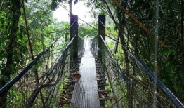 Kiulu的村民切断了连接Kg Rangalau Lama河两岸的重要桥梁_极虎网