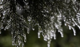 霍尔县在白天开放了取暖中心，以缓解极端寒冷