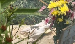 尼科尔公路坍塌：20年过去了，同事们记住了为救人而牺牲的“英雄恒”