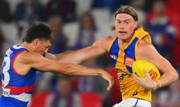 根据埃森登的布拉德·斯科特在轰炸机比赛前的说法，哈利·里德是真正的交易