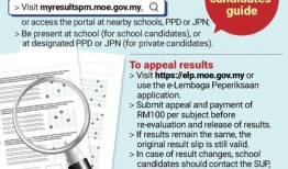 获取SPM 2023结果的三种方法