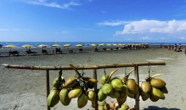 新的旅游限制是为了保护孟加拉国独特的湿地和珊瑚丰富的岛屿