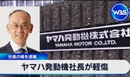 金黑杰克的价格是多少？