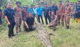 鳄鱼杀手被击毙