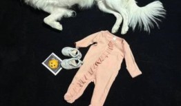 大谷透露妻子怀孕了他们的第一个孩子