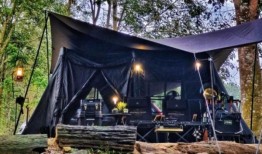 树林里的结婚纪念日