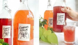 新一代健康饮料来了：寻找海拉斯提供定制康普茶订阅服务