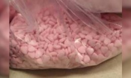 芬太尼法案，划船法，流感高峰：阿拉巴马州