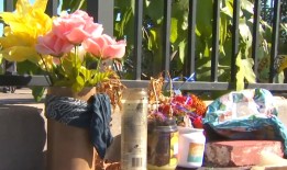 检察官说，被控杀害一名无家可归女子的圣地亚哥少年说，他要去“寻找流浪汉”