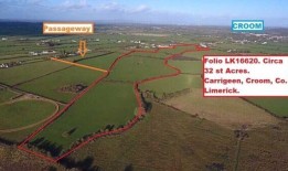 一英亩1.4万欧元的利默里克32英亩农场指南即将拍卖