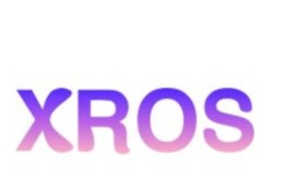 公共政策负责人：XROS倡议并不局限于德里、班加罗尔或金奈
