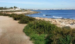 褒贬不一：托雷维耶哈的新绿地值得等待吗？